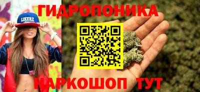 дживик Кунгур