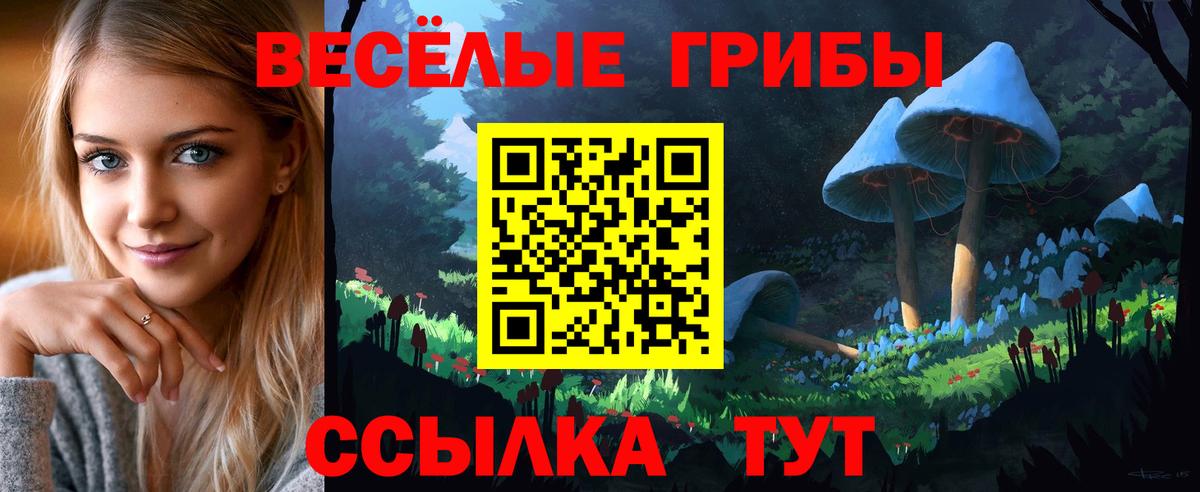 Галлюциногенные грибы ЛСД  хочу   Камышин  Вход с VPN  Галлюциногенные грибы GOLDEN TEACHER 